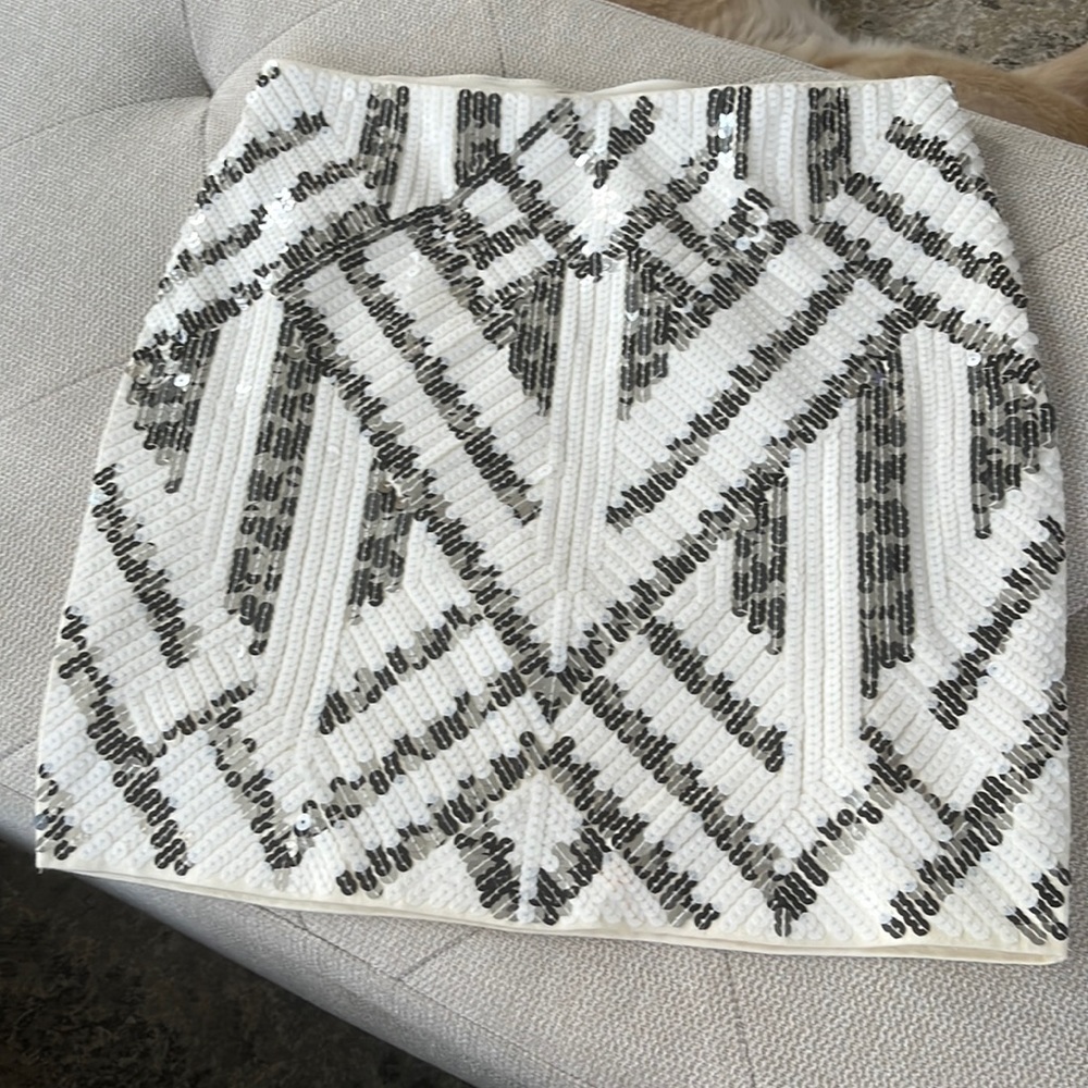 Express skirt